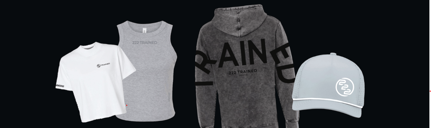 A T-shirts, hat and hoodie displayed side by side